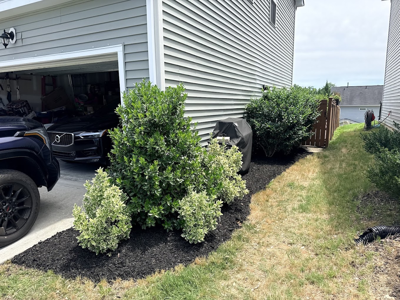 Freshly mowed backyard with clean striped lines