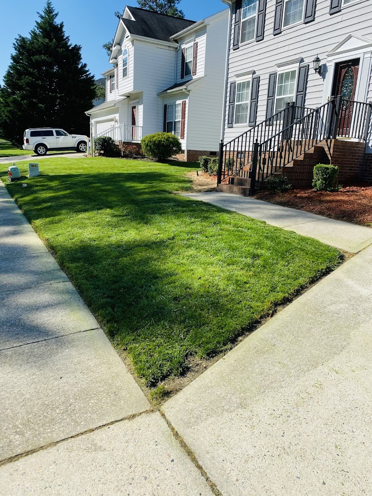 Well-kept landscaped street with edged sidewalks